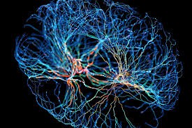 Neuroplasticity And Mirror 治疗 - 卒中 中心 - 司羿 智能的